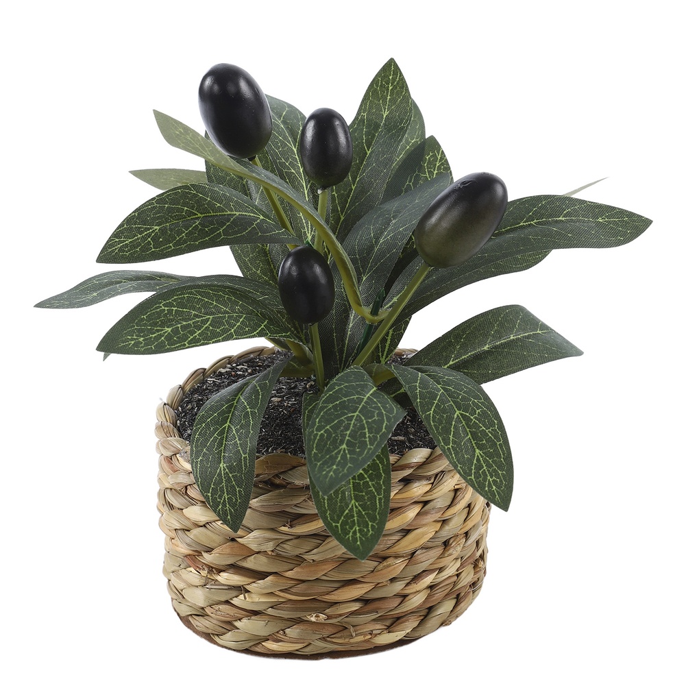 Artificial Plants Pocket Olive - огляд і ціна Office Furniture Installation